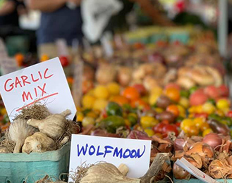 Farmers Market Garlic