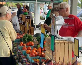 Farmers Market Vendor and Customer