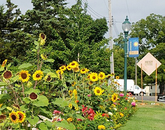 Business Revitalization