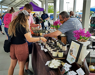 Spring Summer Farmers' Market